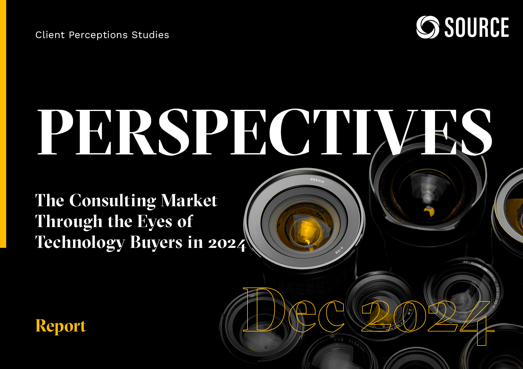 Report front cover - The Consulting Market Through the Eyes of Technology Buyers in 2024