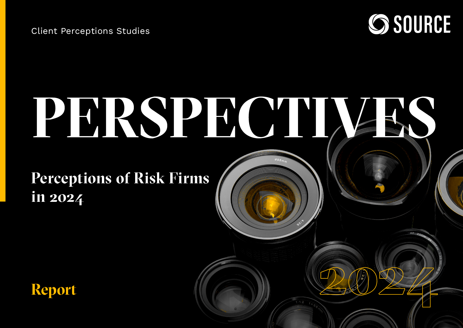 Report front cover - Perceptions of Risk Firms in 2024