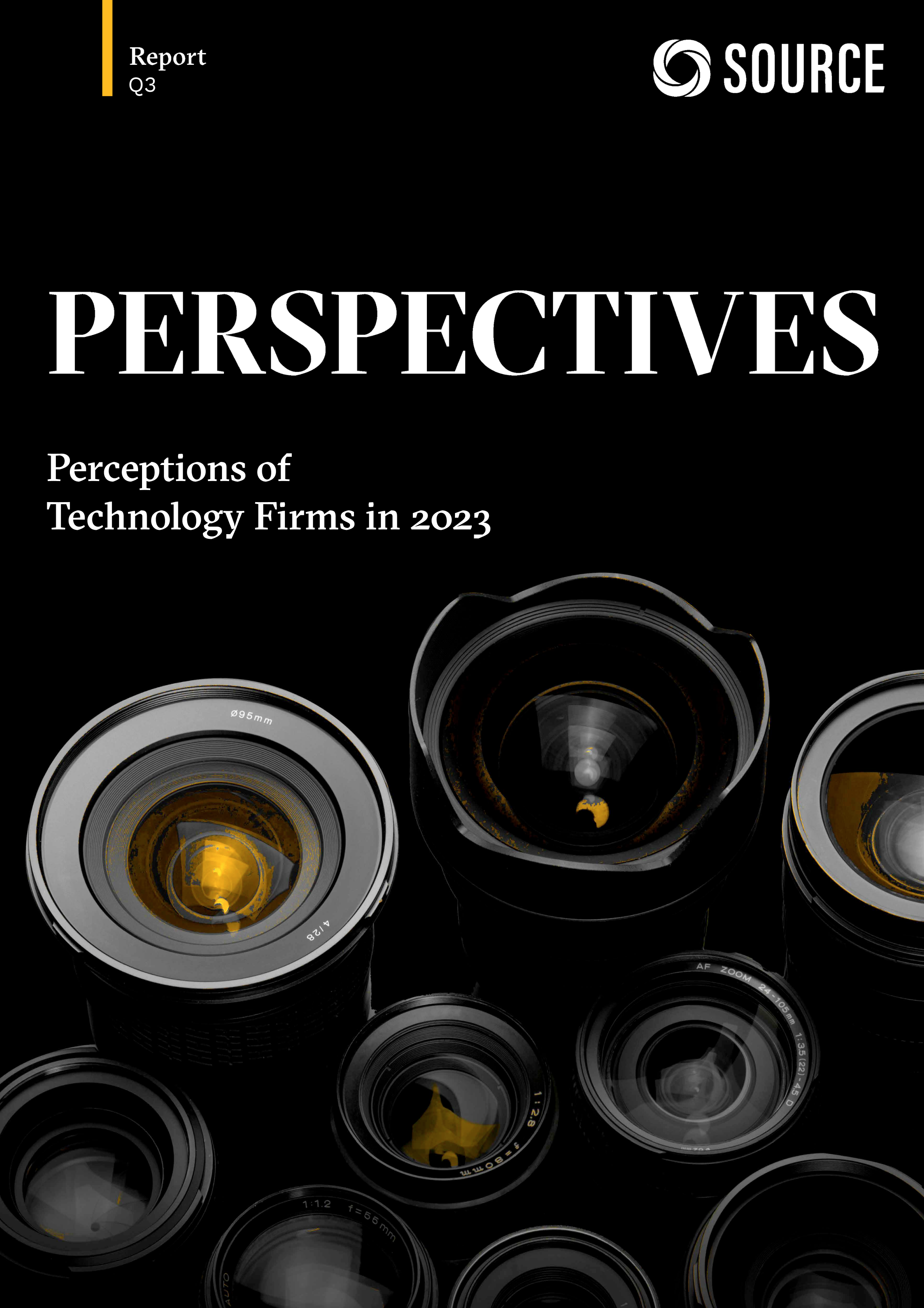 Report front cover - The Consulting Market Through the Eyes of Technology Buyers